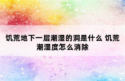 饥荒地下一层潮湿的洞是什么 饥荒潮湿度怎么消除